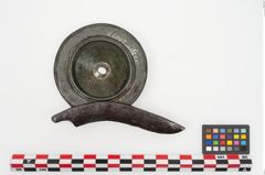 Foto von Bronzephalere (NHMW-PRAE-025077)